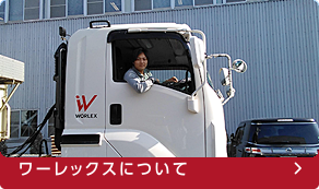ワーレックスについて
